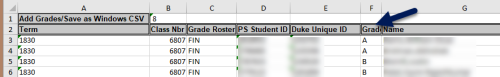 Screenshot of the grade entry template with an arrow pointing to the Grade column.